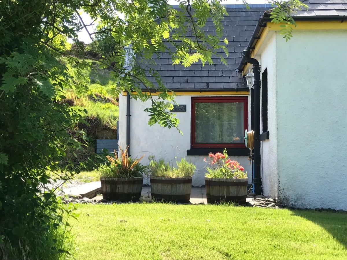 Blossom Cottage Lonmore Bagian luar foto